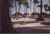 beachHuts